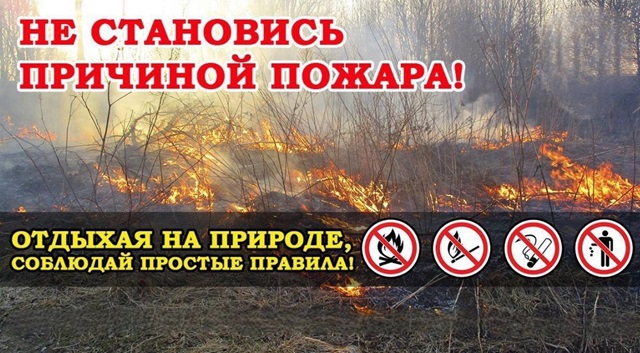 foto 2025 04 07 09 06 003