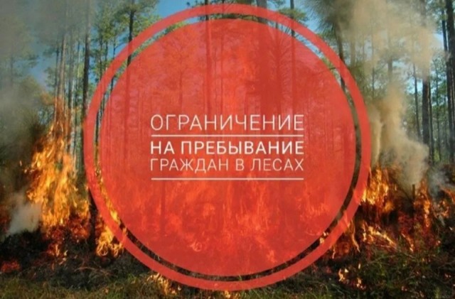foto 2025 07 21 09 11 001