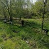 Всероссийский субботник 2025